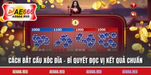 Cách Bắt Cầu Xóc Đĩa - Bí Quyết Đọc Vị Kết Quả Chuẩn