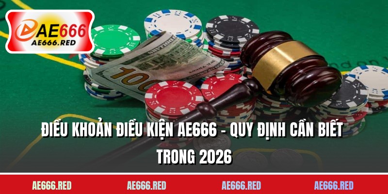 Điều Khoản Điều Kiện AE666 - Quy Định Cần Biết Trong 2026
