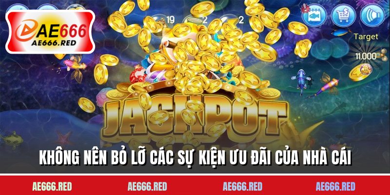 Không nên bỏ lỡ các sự kiện ưu đãi của nhà cái 