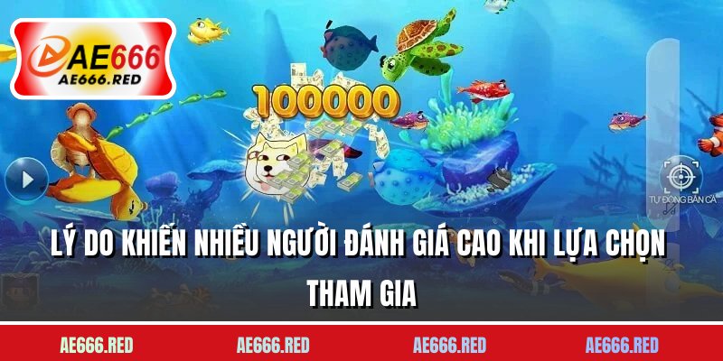 Lý do khiến nhiều người đánh giá cao khi lựa chọn tham gia